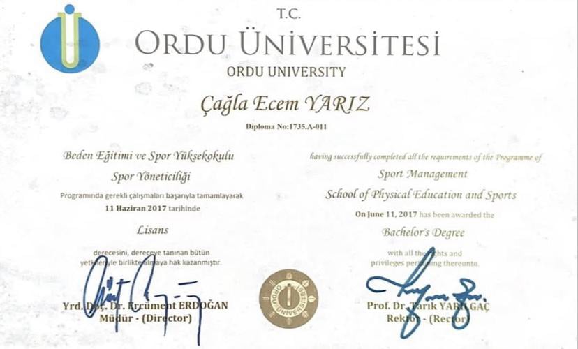 Uzmanlık Sertifikası 2